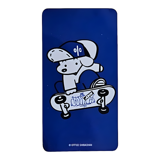 Bearbrick Series 49 Artist 'Skater John' 100% Begleitkarte