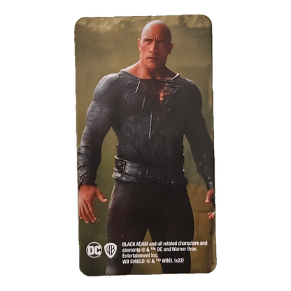 Bearbrick Series 45 Hero "Black Adam" [Black Adam] 100% Begleitkarte