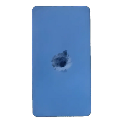 Bearbrick Series 45 Snarkitecture × Black Rainbow 100% SECRET Begleitkarte